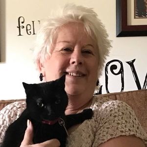 Meet your Posher, Donna